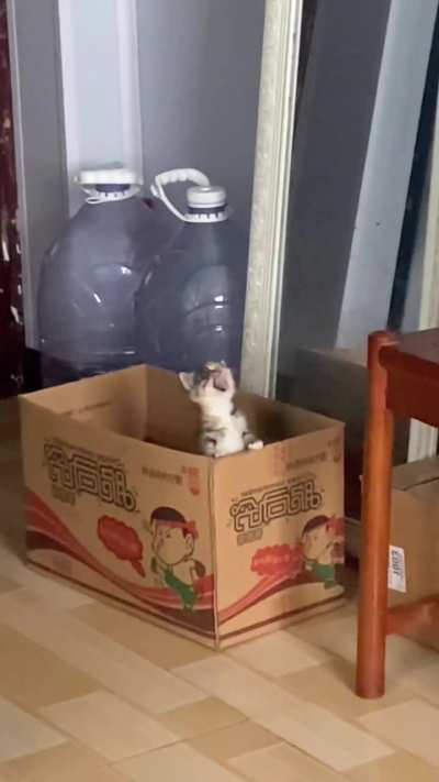 I love when they scream with their whole body