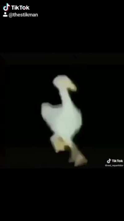 Me creí la de que se me desamarro el calcetín ☹️