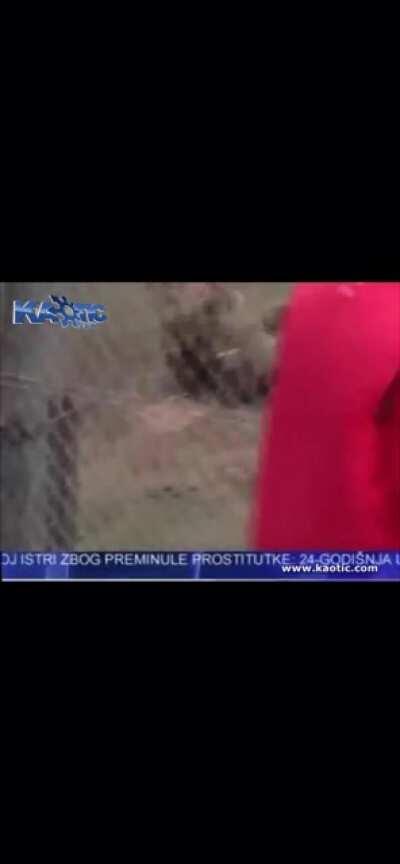 Playing a mandolin in a bear enclosure