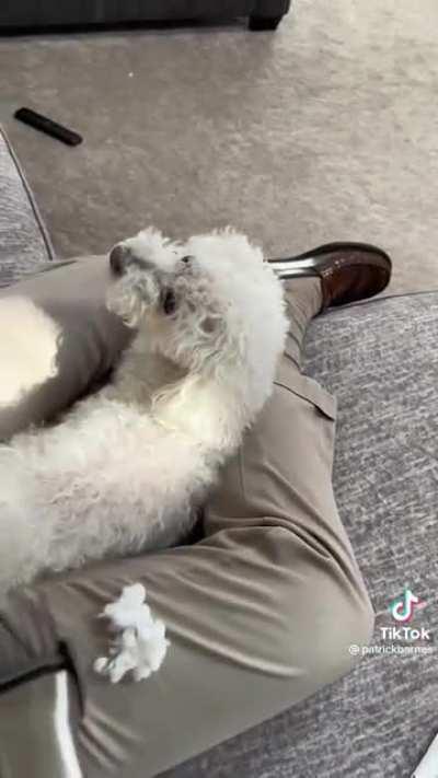 I’m sorry, Quincy! Back again :)