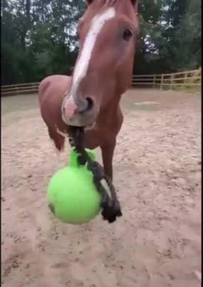 I know it was coming but it still got me