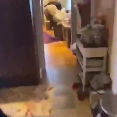 i'm about to get to taco bell and get me a bo- HNYEERRRRRRREEEERREER