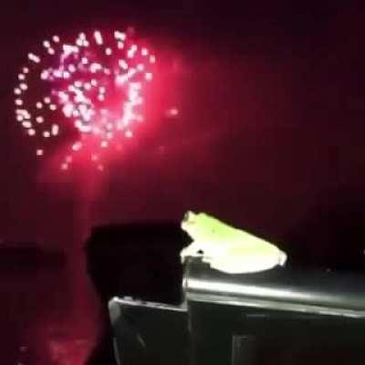 happy new year chat :)