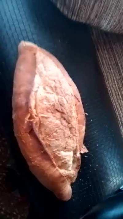 Lan Beyler amk bir ekmek alım dedim taze adam metal ekmek verdi sanki orospu çocuğu iade ediyim mi boks torbası olarak kullaniyim mi yumruk atincaki hissiyat mükemmel