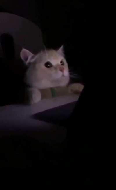 When you're a fan of the dark and they decide to disturb you