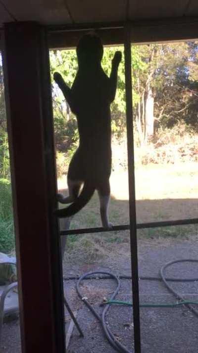 She didn’t think through this climbing route