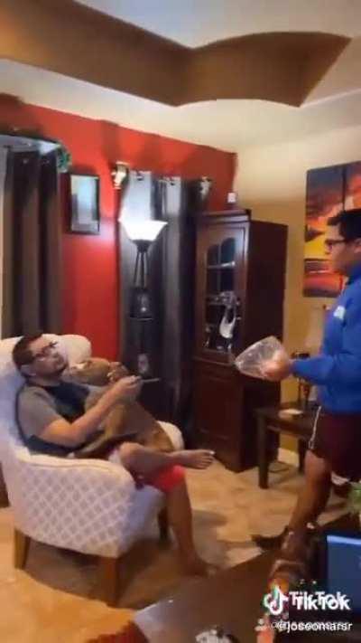 Even the dog knows how much trouble the kid is in........