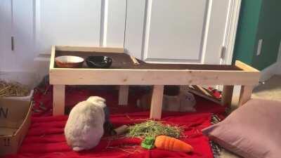 When you’re too lazy to go up the ramp