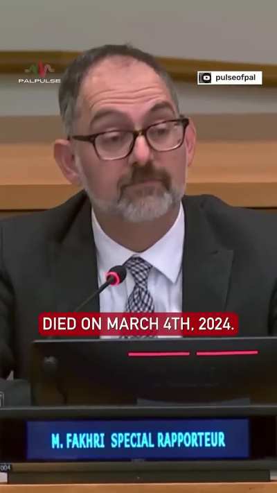 “The UN died in Gaza”