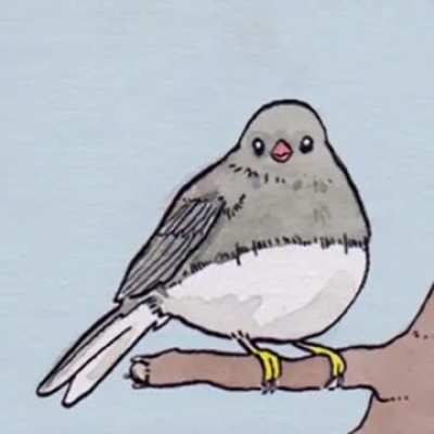 What browsing the main sub feels like these days...