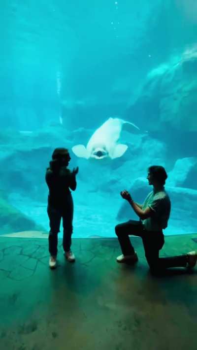 Couldn’t have picked a better photobomb