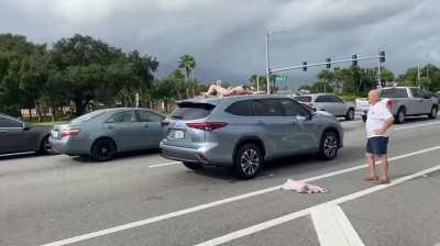 never change, Florida