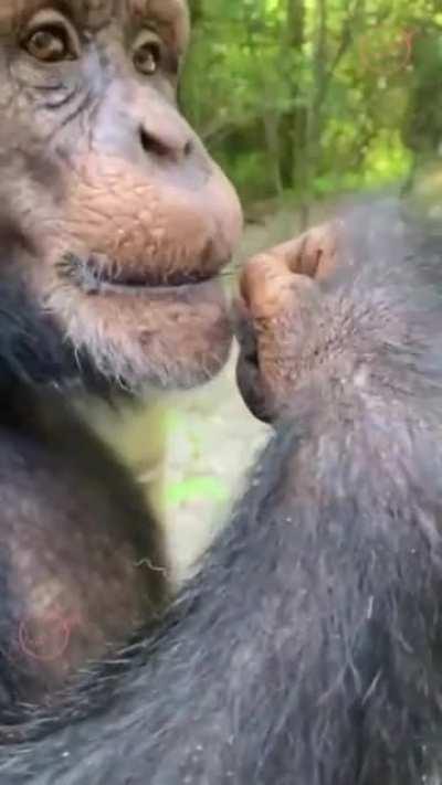 Me trying to tell people about gamestop