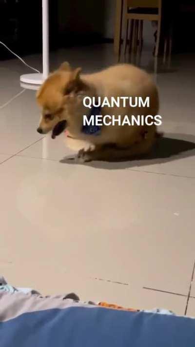 Title is left as an exercise to the reader