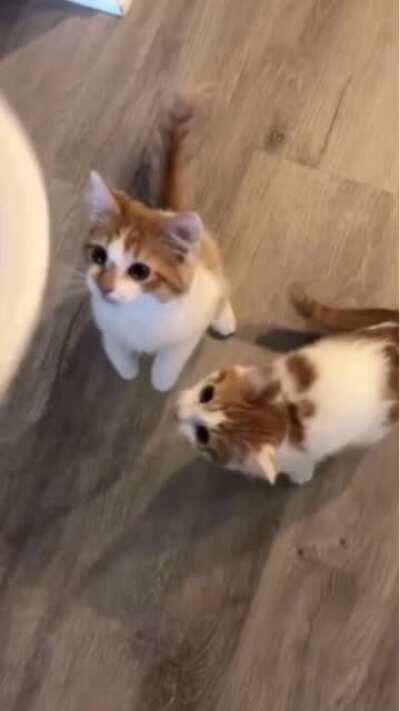 So much disappointment