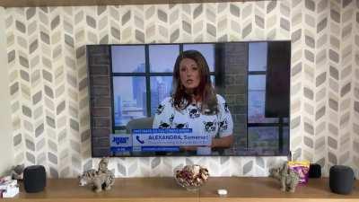 Just found this little nugget on my phone from Jezza Vine Show, May 26th 2022