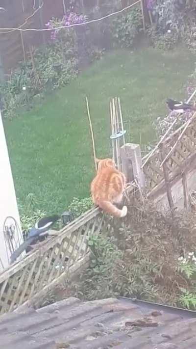 Os dois se uniram para trollar o pobrezinho