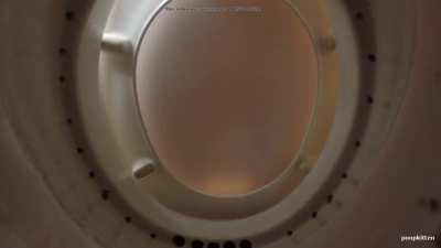 Random #11 (Poopkitten) ( Credit: u/AstralThrall)