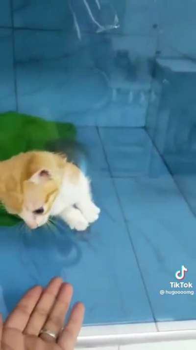 criminal so tiny that he can escape solitary confinement