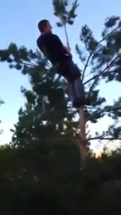 This is why you don't drink and climb trees