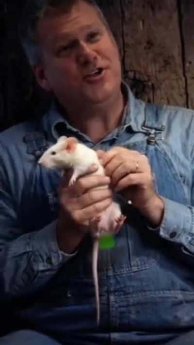 Davie from Mice and Men