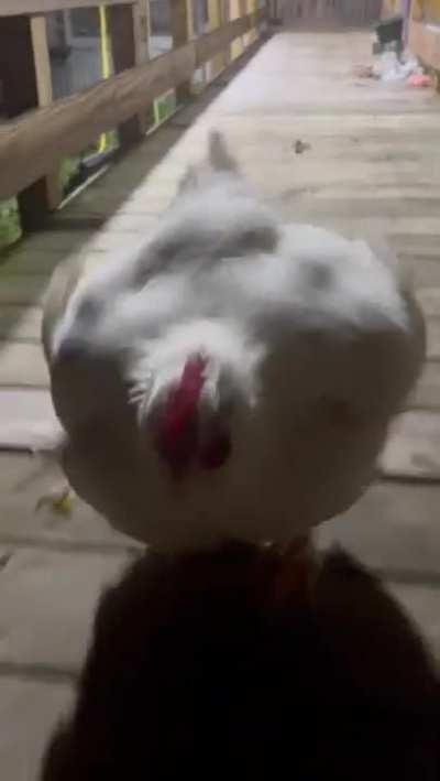 Jacket getting pizza after murdering a dozen Russians in some hotel in Miami