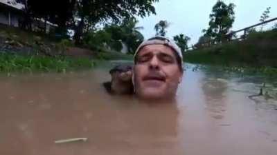 Drowning man is stalked by a bloodthirsty predator