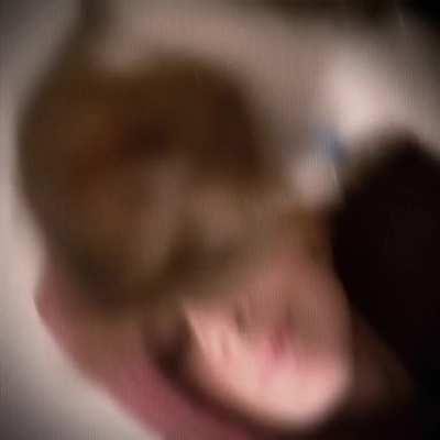 Nothing like a cats rejection :')