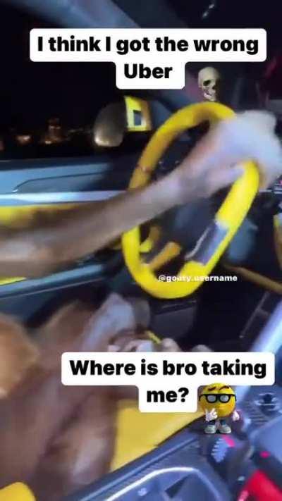 When your driver is monkeydonian