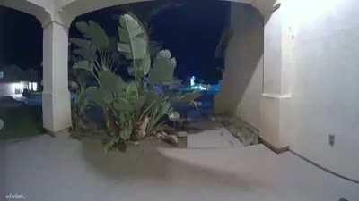 Grinch steals Amazon van as the driver is delivering package.