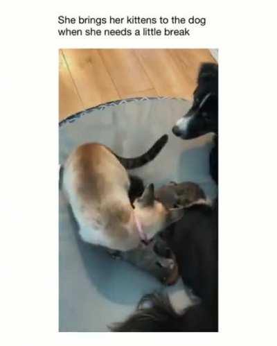 I didn’t sign up for any of this, Carl!