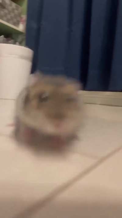 this guy’s a fucking train