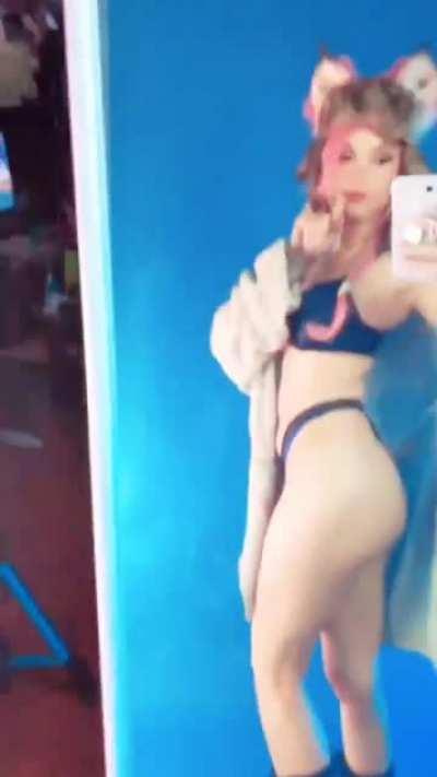 Caturday Winnie (Instagram Stories) video 1