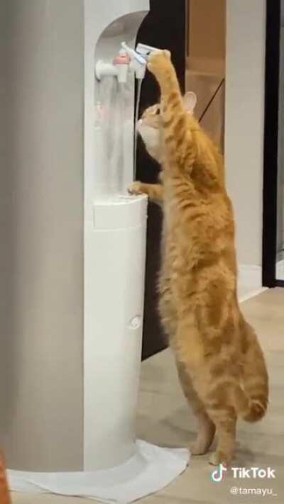 My dehydrated ass at a music festival water refill station