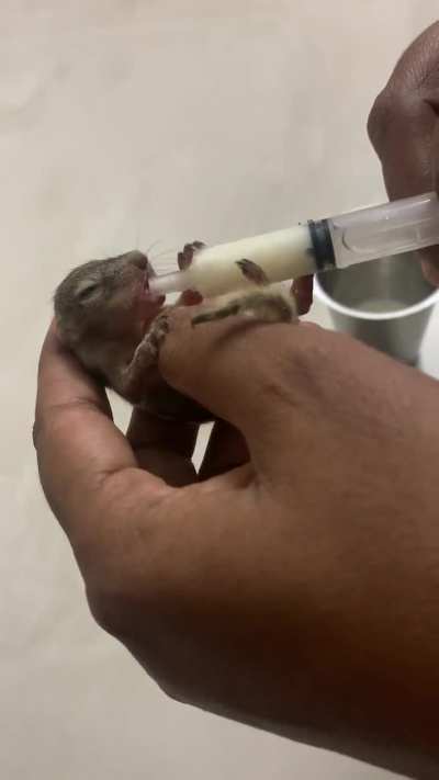 Feeding babe 😍😍😍