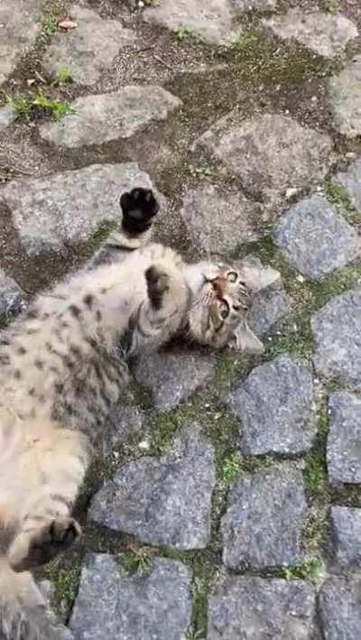 Made me late for work