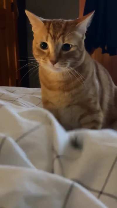 His favourite hobby is crime