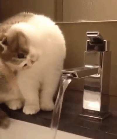 Hmm yes the air here is made out of water