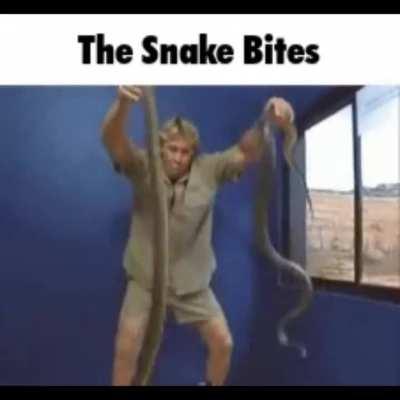 Here is an exposé on the different Ork clans and their varied culture