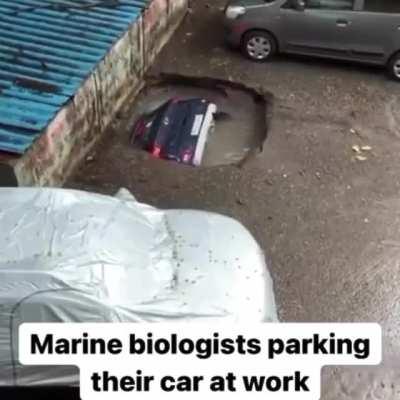 Time to study some fish 🐟