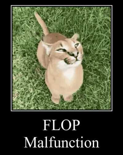 Sorry for the inconvenience, our dev team is working hard on fixing bugs in the latest Floppa update