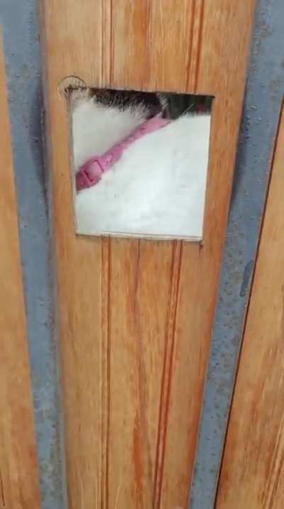 They should put a warning sign on that door