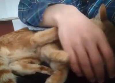 No No, Your Hand Goes Here