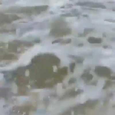 Olha a situação do menino!