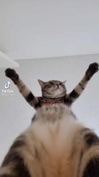 Not my vid but I hope it made you laugh!