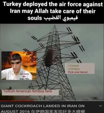 Budala taşak torba siktir siktir hakan çalhanoğlu çengiz ünder roach turkish döner ☪️☪️🦍🦍🦍🦍🦍🇽🇰🇽🇰🇽🇰🇦🇱🇹🇷