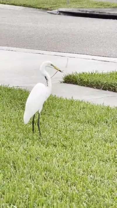 How's that even possible