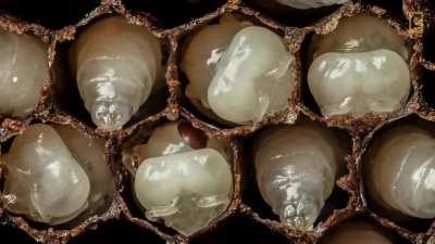 Thought it was interesting and cross posted it here.