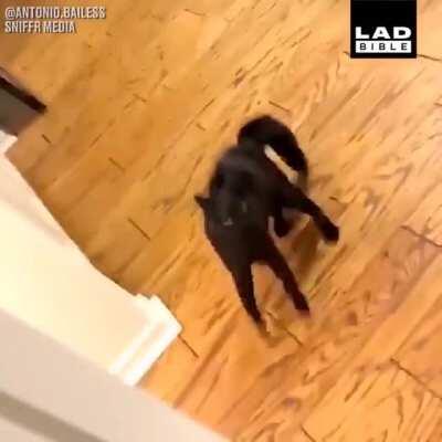 Trying to Look Tough.