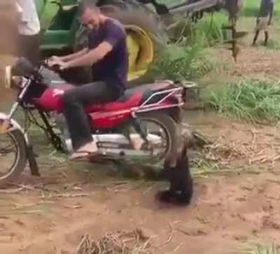 Getting mardy when you can't ride...